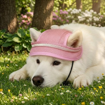 Casquette pour chien Berger Blanc Suisse rose jardin