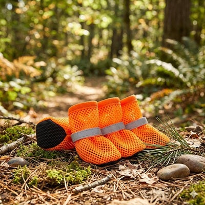 Chaussures chien orange filet forêt automne réflecteur semelle noire