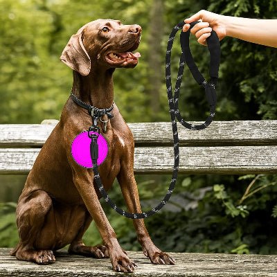 chien assis sur un banc attache avec une laisse pour chien resistante