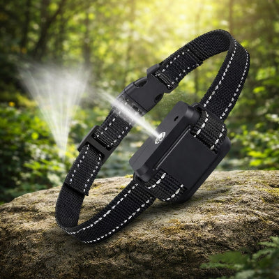 collier anti-aboiement noir citronnelle pulvérisation rocher forêt