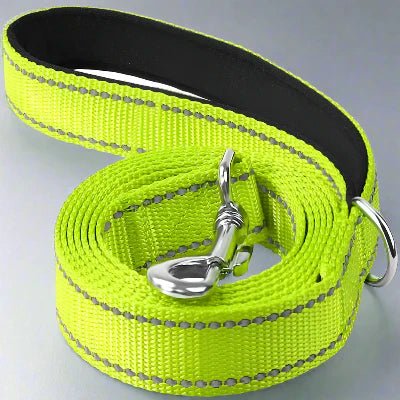 Collier Chien - DogsHarnessCollar™ - Fluorescent Vert - Libre & Poilu