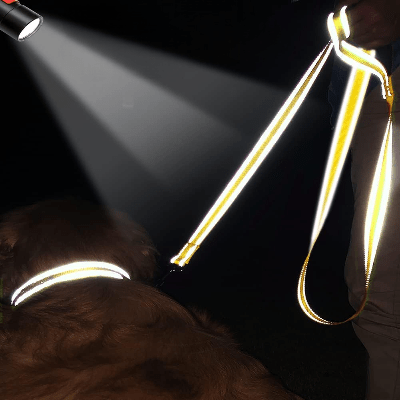 Collier Chien - DogsHarnessCollar™ - Jaune - Libre & Poilu