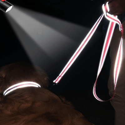 Collier Chien - DogsHarnessCollar™ - Rose Clair - Libre & Poilu
