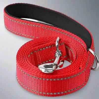 Collier Chien - DogsHarnessCollar™ - Rouge - Libre & Poilu