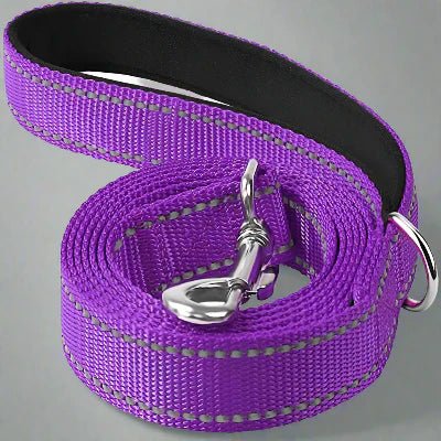 Collier Chien - DogsHarnessCollar™ - Violet - Libre & Poilu