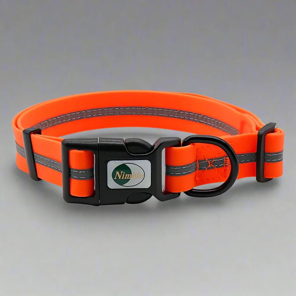 Collier pour Chien - WaterproofDogCollar™ - Orange - Libre & Poilu