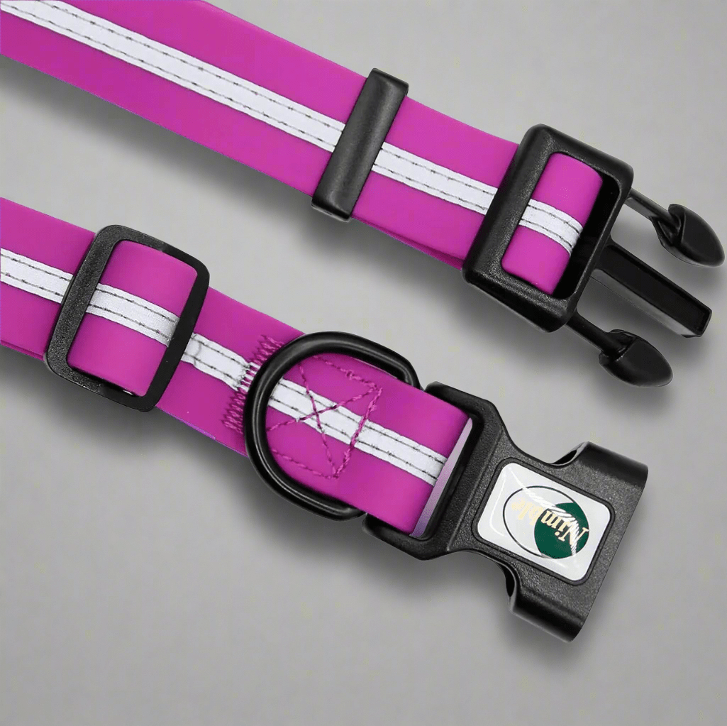 Collier pour Chien - WaterproofDogCollar™ - Violet - Libre & Poilu