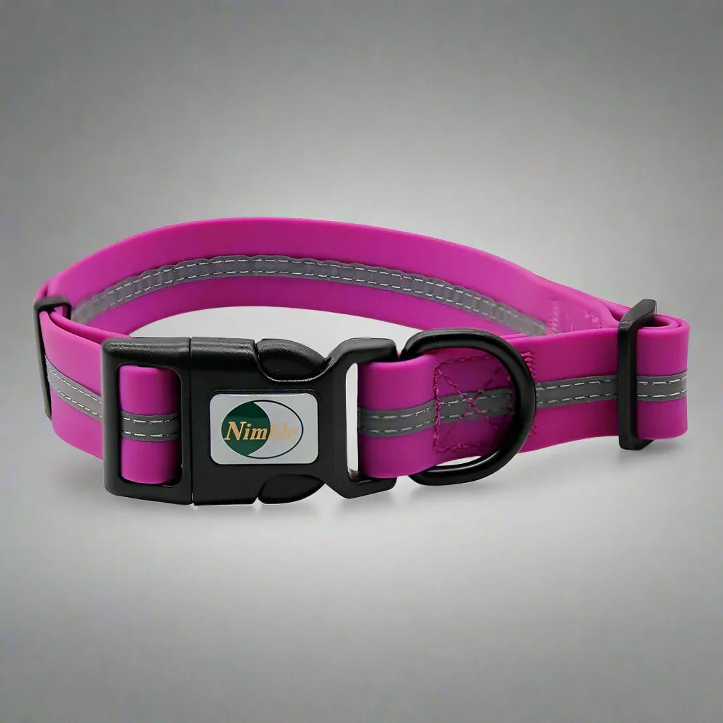 Collier pour Chien - WaterproofDogCollar™ - Violet - Libre & Poilu