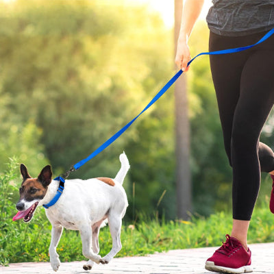 femme en collant noir et souliers rouges dans le parc courant avec son chien attache a une laisse pour chiens