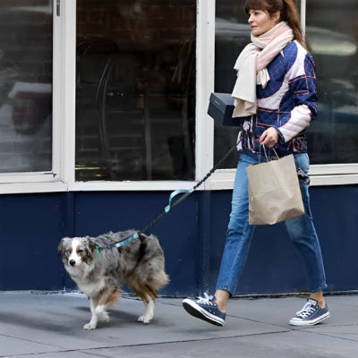 femme marche en ville tenant un sac de magasinage guidant un chien tachete avec une laisse canicross noire avec double poignee bleue