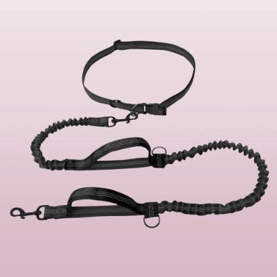 laisse canicross noire avec une ceinture reglable poignees noire et cordon amortisseur pour cofort du chien