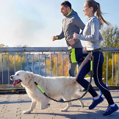 homme et femme en tenue de sport font du jogging accompagnes d un chien relie par une laisse canicross