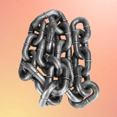 laisse chien chaine argent fond blanc resistant qualite premium robuste