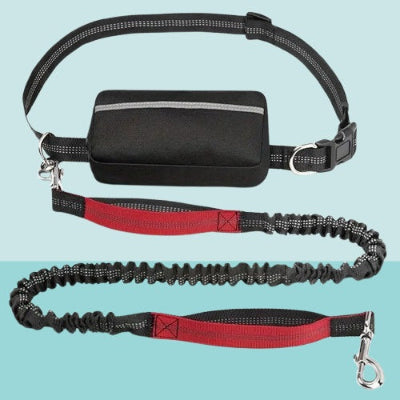 laisse chien main libre avec poingnee rouge mousqueton metalique ceinture reglable et pochette pratique pour accessoires