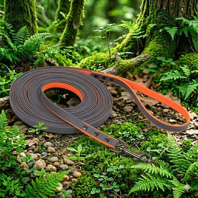 laisse longe chien pvc impermeable orange 5m 10m resistant balade exterieur
