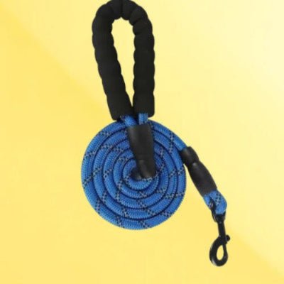 laisse pour chien bleue enroulee avec poignee noire rembourree et crochet metallique