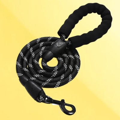 laisse pour chien noire enroulee avec poignee noire rembourree et crochet metallique