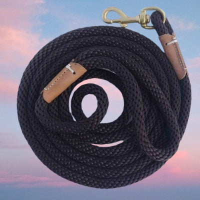 longe pour chien cafe mousqueton or poignee tresse resistant premium enroulee