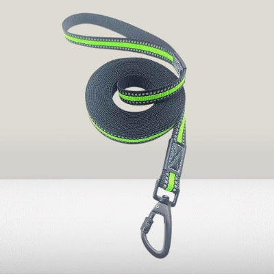 longe pour chien verte reflechissante mousqueton metal qualite premium resistante