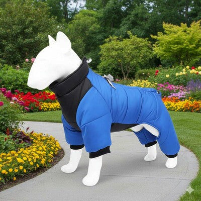 manteau impermeable pour chien bleu bull terrier jardin fleurs ete