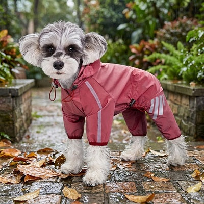 manteau pluie chien schnauzer rose combinaison 4 pattes réfléchissant jardin