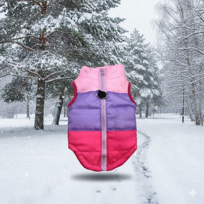 manteau pour petit chien rouge violet hiver neige impermeable chaud colore