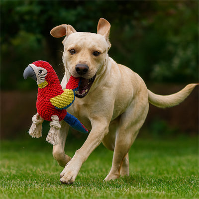 peluche chien perroquet labrador course jardin jouet fetch