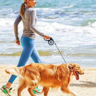 une femme marche au bord de la plage avec son chien l animal est attache a une laisse enrouleur chien profitant de la promenade au bord de l eau