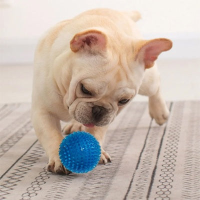 balle pour chien jouet spike bleu résistant bulldog intérieur