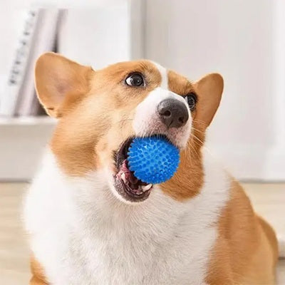 balle pour chien spike bleue corgi gueule ouverte jouet
