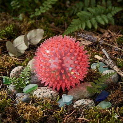 balle pour chien spike rose rouge mousse galets nature extérieur