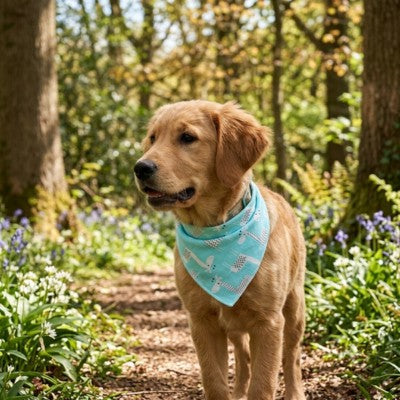 Bandana pour chien Golden Retriever forêt jacinthes printemps turquoise