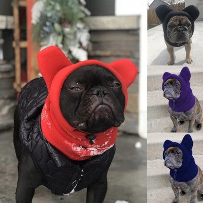 bonnet chien 4 couleurs rouge noir violet bleu marine polaire