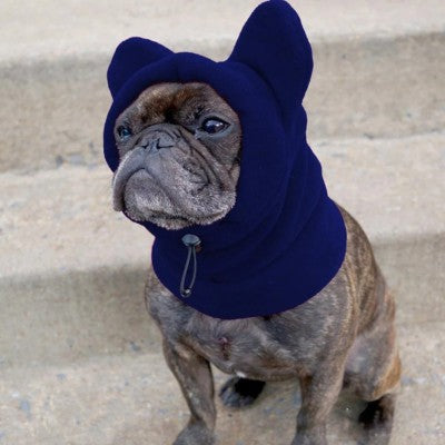 bonnet chien bleu marine bouledogue français hiver polaire