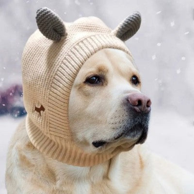 bonnet pour chien beige labrador grand gabarit neige oreilles tricot