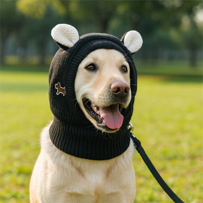 bonnet pour chien noir labrador grand chien parc balade laisse