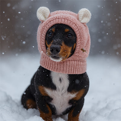 bonnet pour chien rose teckel neige hiver oreilles ours flocons