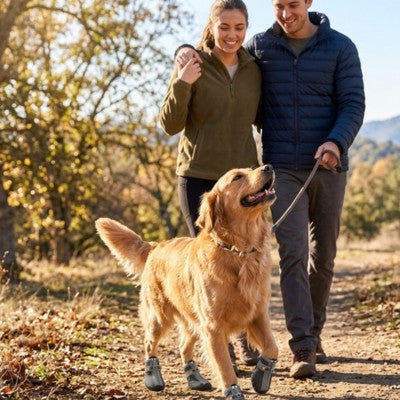Bottes chien Golden Retriever couple promenade automne laisse nature
