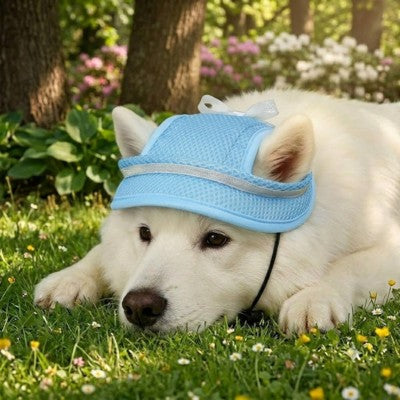 Casquette pour chien Berger Blanc Suisse bleue jardin