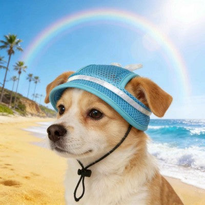 Casquette pour chien bleue plage arc-en-ciel été