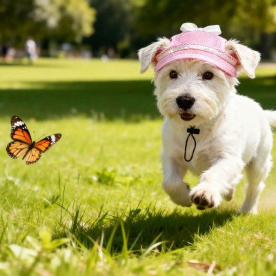 Casquette pour chien rose petit chien parc papillon