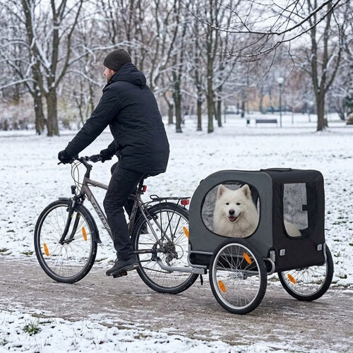 Chariot chien vélo noir chien blanc balade parc enneigé