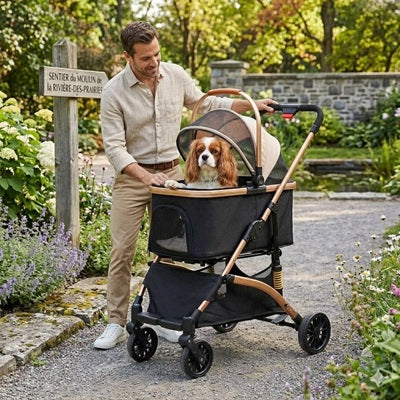 chariot pour chien jardin sentier cavalier king charles homme promenade
