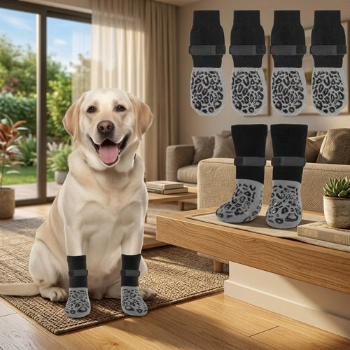 Chaussette chiens motifs léopard Labrador assis sur tapis dans salon lumineux