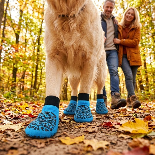 Chaussettes pour chien bleues golden retriever en forêt avec couple en automne