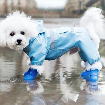 Chaussure Chien Bleue Bichon Blanc Imperméable Flaque Pluie Cire Bleue