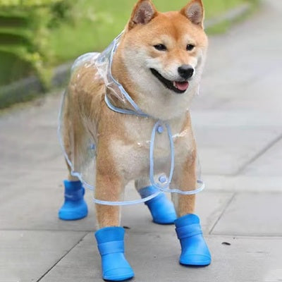 Chaussure Chien Bleue Shiba Inu Imperméable Cire Transparente Trottoir