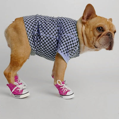 Chaussure chiens rose bouledogue français tenue damier sneaker canvas