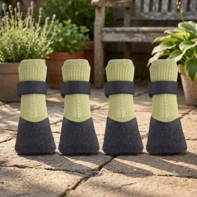 chaussures pour chien 4 paires vert noir terrasse jardin