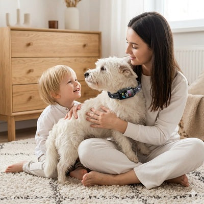 

chien collier anti aboiement maison famille blanc